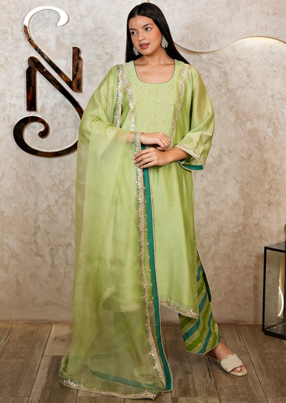 Light Green Chanderi Suit with Organza Dupatta & Hand Embroidery
