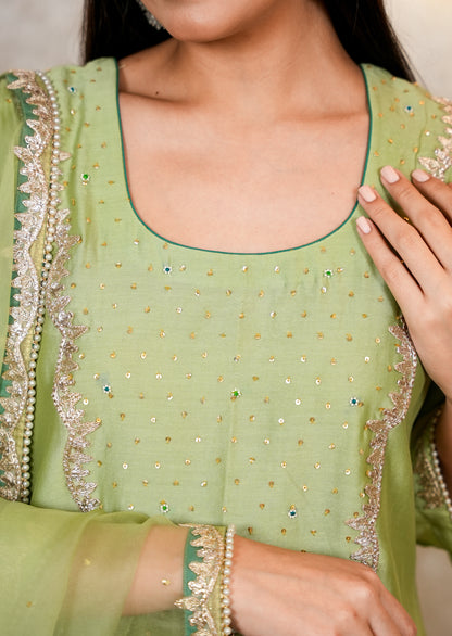 Light Green Chanderi Suit with Organza Dupatta & Hand Embroidery